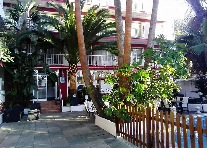 Hostal Alce Playa de Palma 